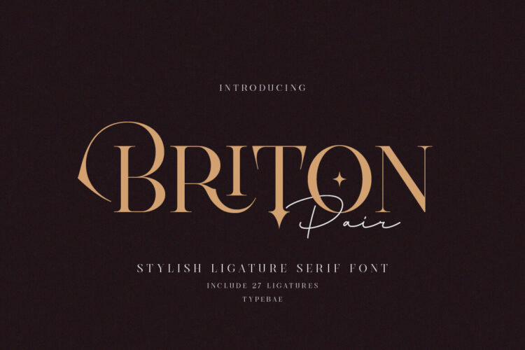 Stylish Luxury Ligature Serif Font