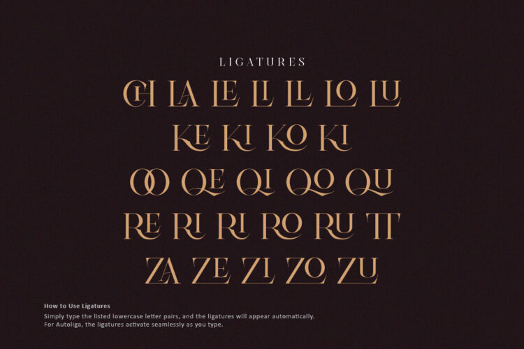 Stylish Luxury Ligature Serif Font