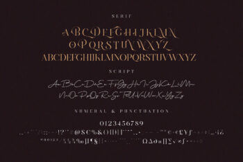 Stylish Luxury Ligature Serif Font