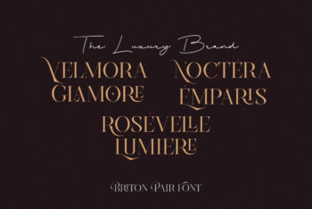 Stylish Luxury Ligature Serif Font