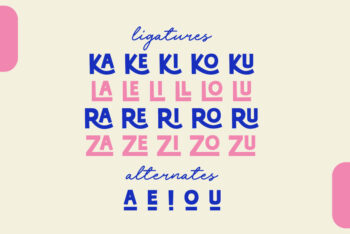 Fun Display Font