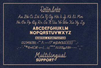 Vintage Script Font