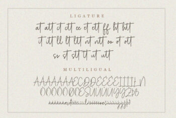 Signature Script Font