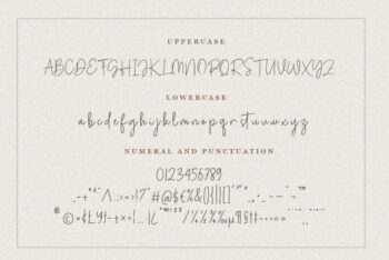 Signature Script Font