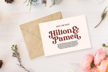 Stylish Serif Font