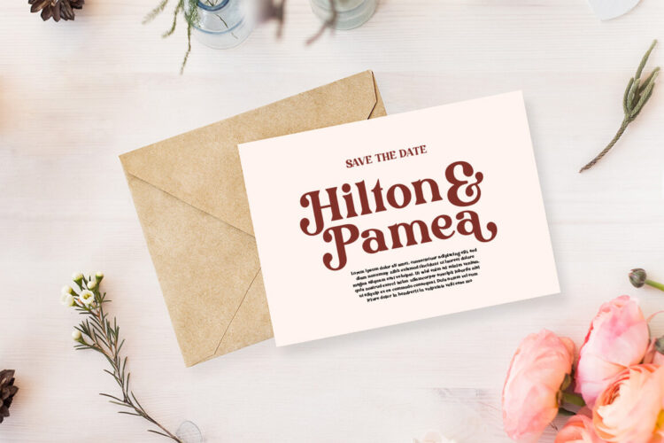 Stylish Serif Font