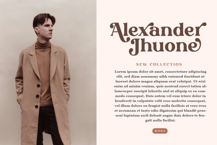 Stylish Serif Font