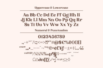 Stylish Serif Font