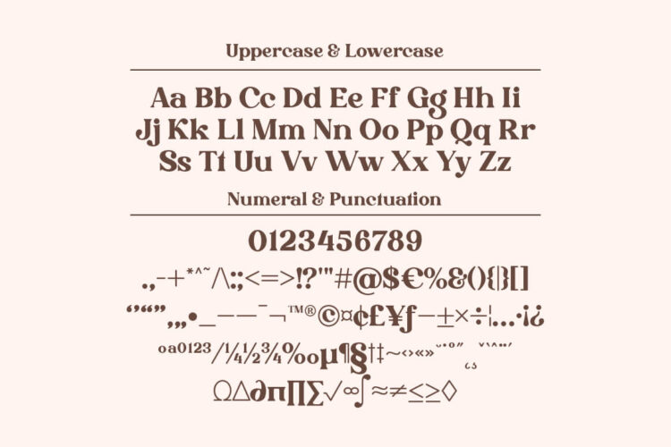 Stylish Serif Font