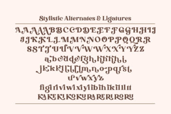 Stylish Serif Font
