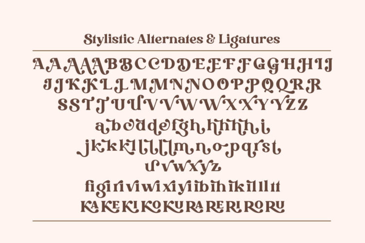 Stylish Serif Font