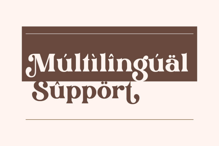 Stylish Serif Font