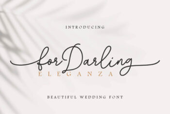 Wedding Script Font