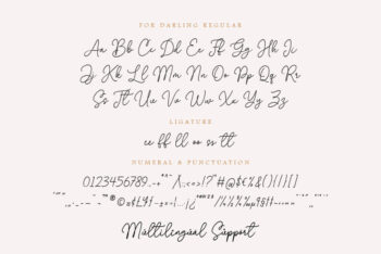 Wedding Script Font