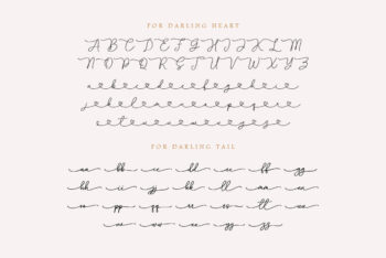 Wedding Script Font