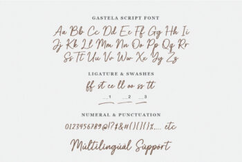 Brush Script Font with Swash