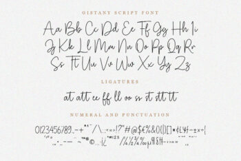 Handwritten Script Font