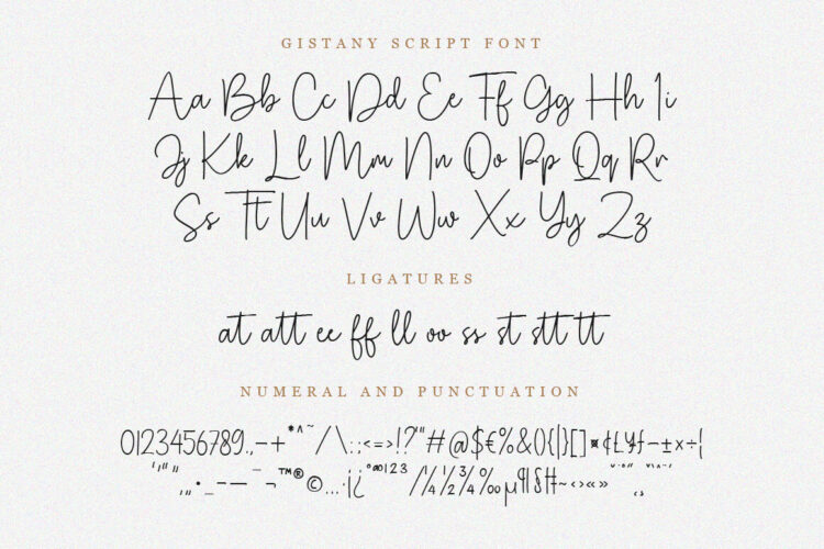 Handwritten Script Font