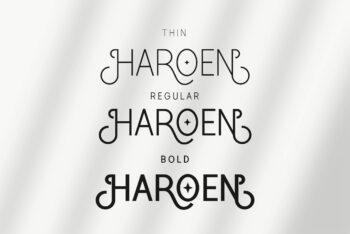 Stylish Sans Font