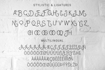 Stylish Sans Font