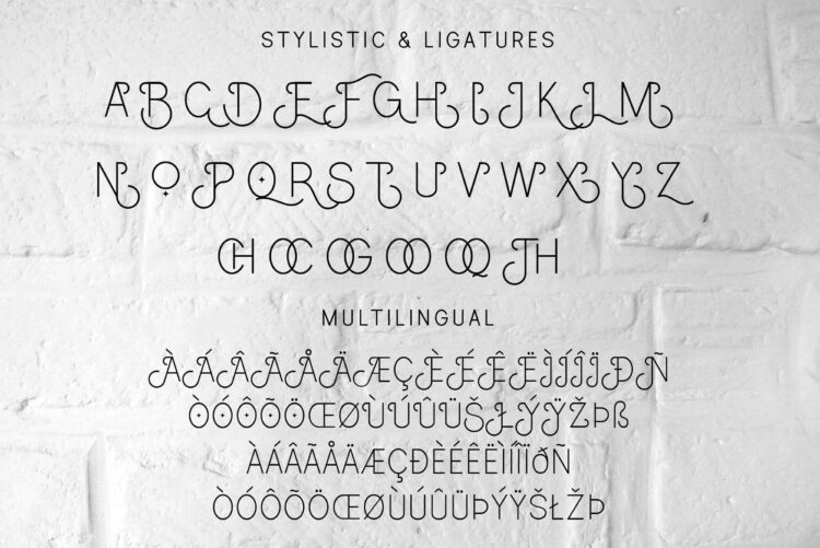 Stylish Sans Font