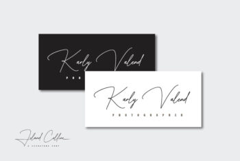 Elegant Signature Font