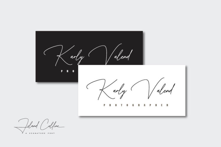 Elegant Signature Font