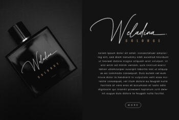 Elegant Signature Font
