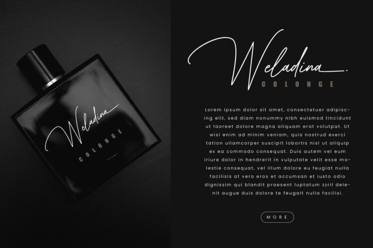 Elegant Signature Font