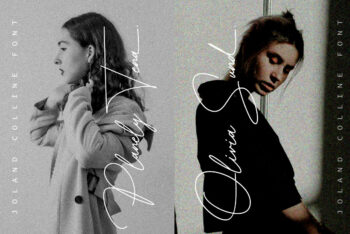 Elegant Signature Font