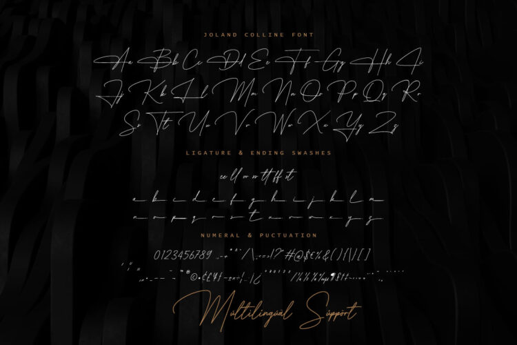 Elegant Signature Font
