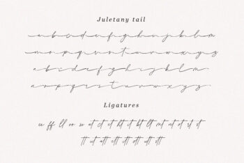 Signature Script Font