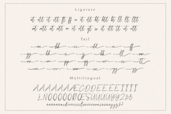 Handwritten Script Font,