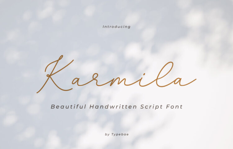 Chic Handwritten Script Font