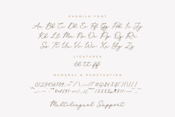 Chic Handwritten Script Font