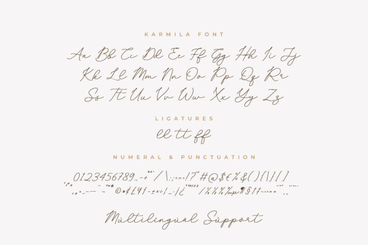 Chic Handwritten Script Font