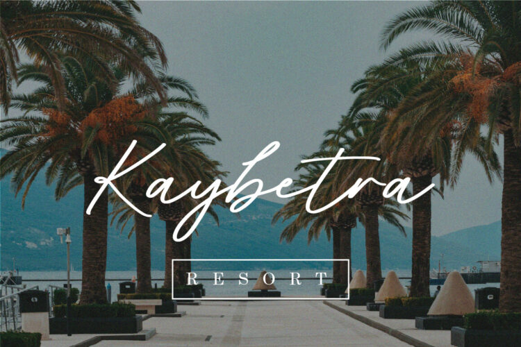 Brush Script Font