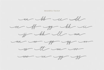 Beautiful Handwritten Script