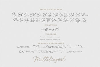 Beautiful Handwritten Script