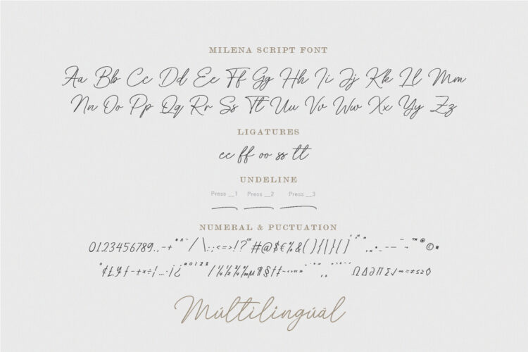 Beautiful Handwritten Script