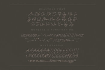 Handwritten Script Font