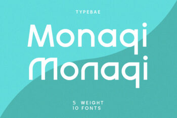 Stylish Logo Font Family