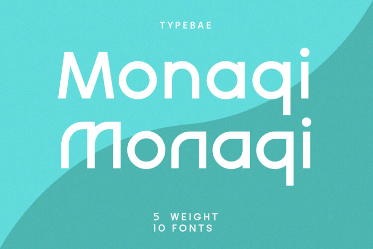 Stylish Logo Font Family