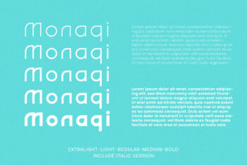 Stylish Logo Font Family