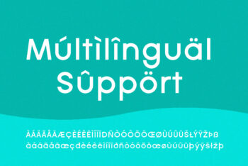 Stylish Logo Font Family