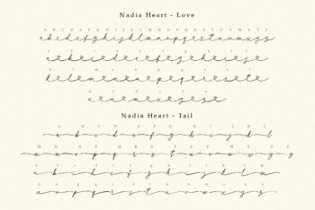 Handwritten Script Font with Swash