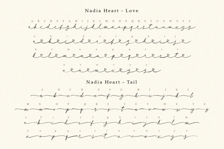 Handwritten Script Font with Swash