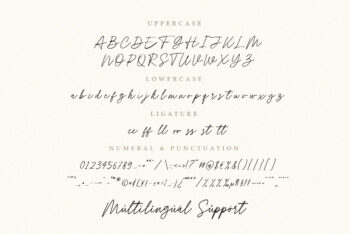 Handwritten Script Font with Swash