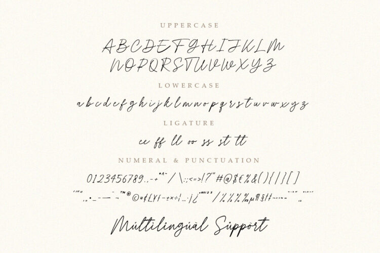 Handwritten Script Font with Swash