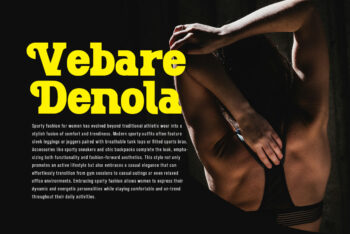 Bold Slab Serif Font